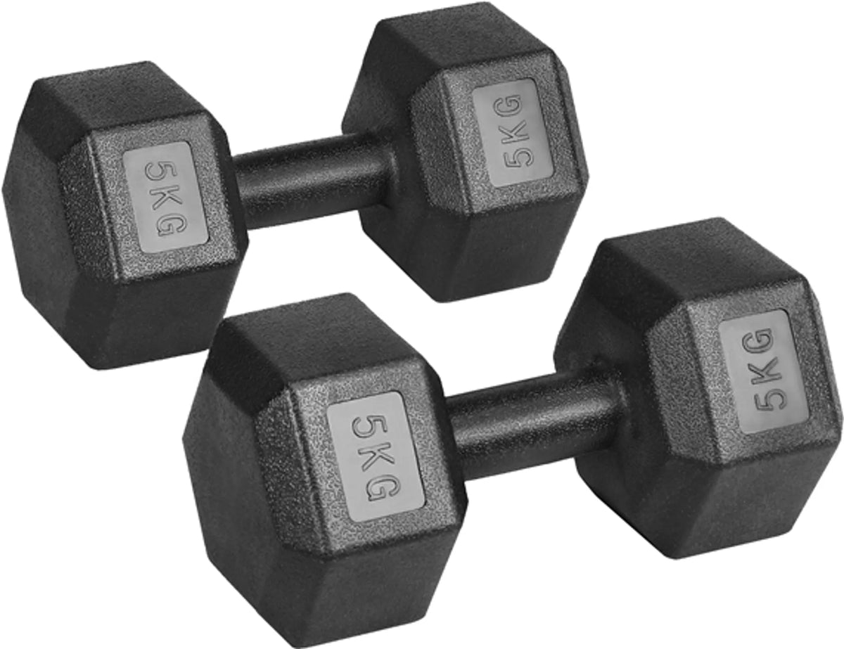 Yaheetech Dumbbells Set Van 2 x 5 kg – Voorzien Van Zeshoekige Kop En Anti-Roll Ontwerp En Kunststof Coating – Voor Krachttraining En Thuisgym – Zwart Kunststof En Beton – 28,5 x 15 x 13 cm