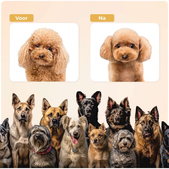 Dutchwide Groommate Draadloze Dierentondeuse - Incl. 4 Opzetstukken - zwart