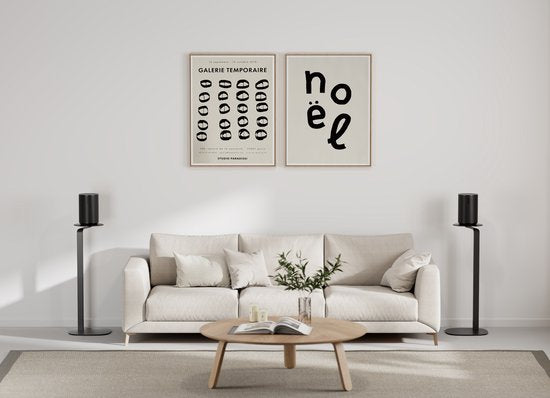 VDD Speaker Standaard - Universeel Speaker Standaard - Luidsprekerstandaard - Vloerstandaard - Kabelmanagement - set van 2 stuks - Zwart