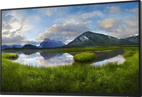 DELL - DELL-P2425HEWO - Computermonitor