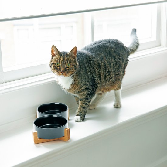 Voerbak Hond - Voerbak Kat - Drinkbak - Met Standaard - 2x 400 ml - Maat S - Zwart