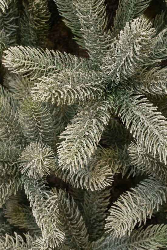 Black Box Trees Nagoya Kerstboom Frosted met Scharnierconstructie - Kunstboom met Volle Uitstraling en 738 Takken - Kerstversiering voor Binnen - H150 x Ø91 cm - Groen