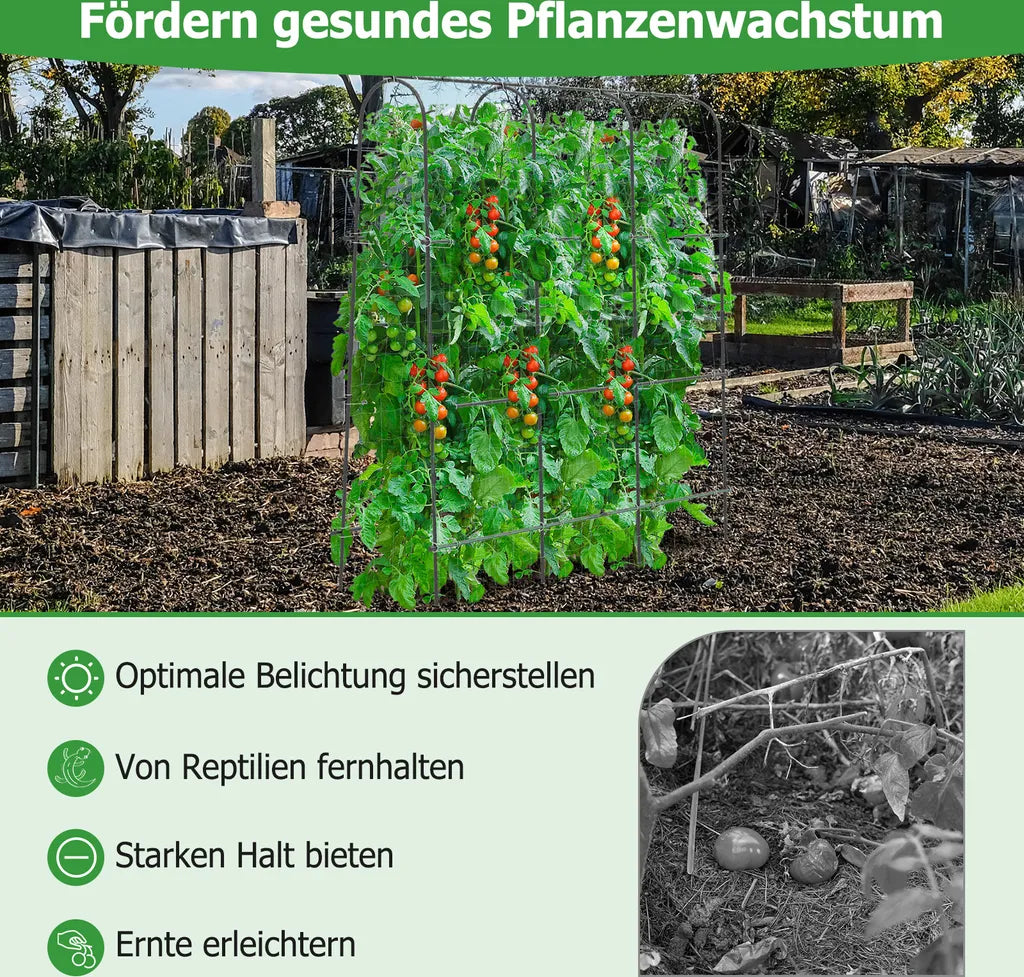 Coast Komkommerrek Zwart – Verstelbaar Plantenrek met Net – 179 x 32-65 x 180 cm