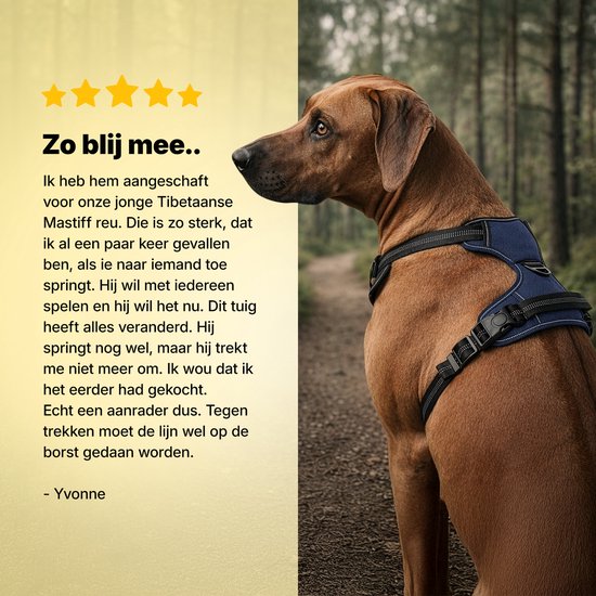 Jake and Jacky Hondentuigje - Anti-Trek Tuig - Hondenharnas - Y Tuig Hond - Reflecterend - Blauw - Maat S