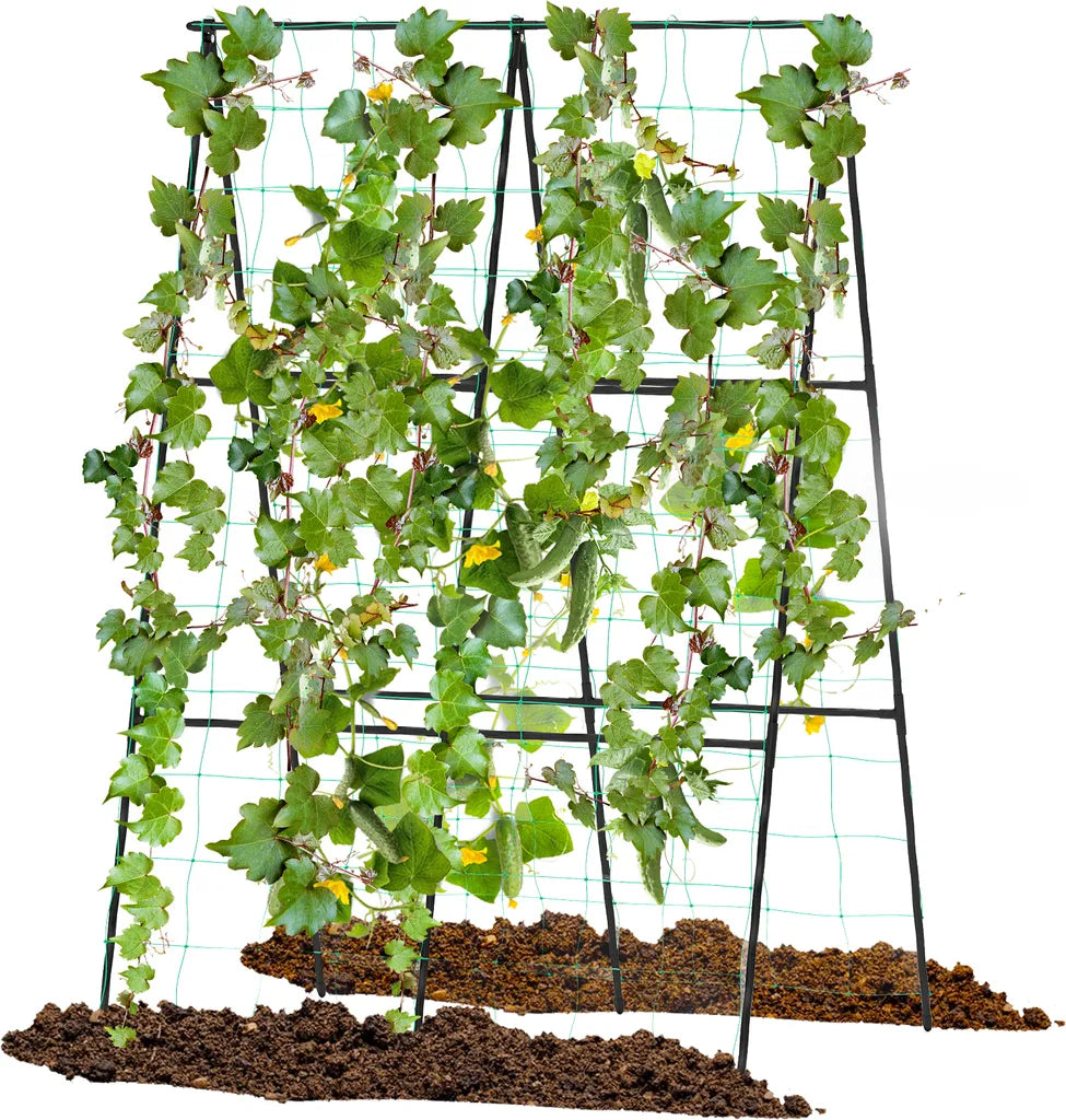 Coast plantenrek Zwart – A-Frame Plantenrek met Net – Verstelbare Breedte 30-60 cm – 88 x 124 cm