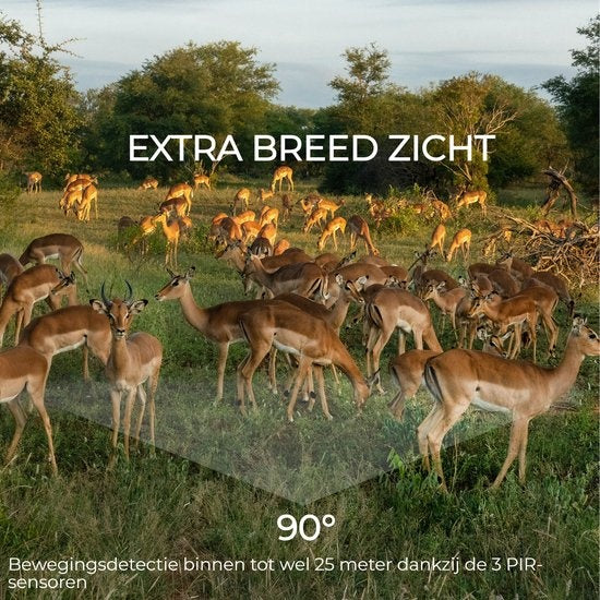 Denver Wildcamera met Nachtzicht - Live beelden (APP) - FULL HD - Waterdicht - WCT8020W