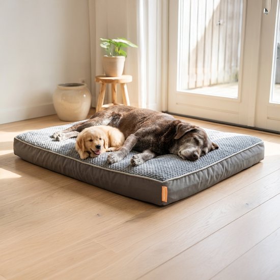 Happysnoots® Orthopedisch Hondenkussen - XXL Hondenmand 100 x 70 x 12 cm - Wasbaar Hondenbed Voor Grote Honden - Grijs met Rits