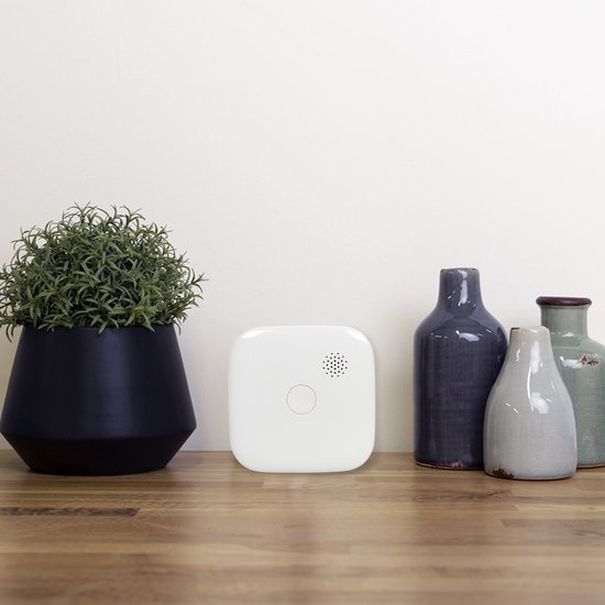 Smartwares FSM-12601 - Slimme Rookmelder Smart - Wifi - Met app - Brandmelder