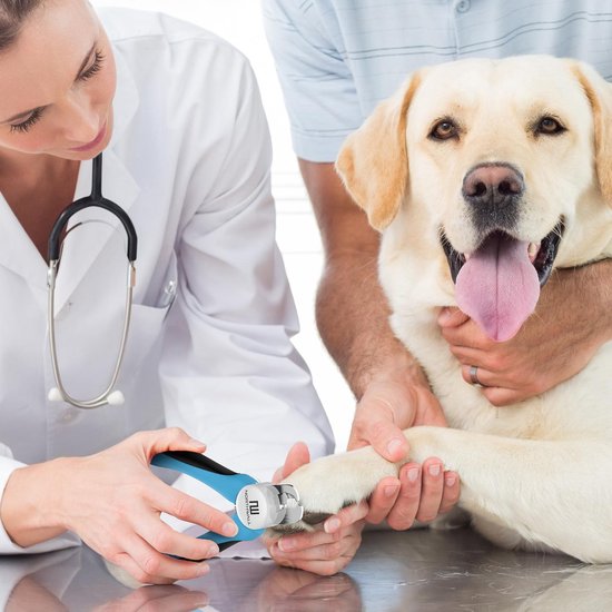 Professionele Nagelknipper Hond en Kat - Nageltang Met Veiligheidsstop en Nagelvijl - Blauw