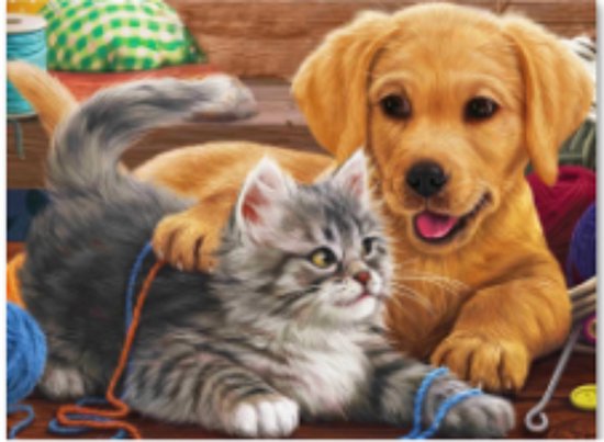 Rubye® -Diamond Painting Set 40x30 cm – Kitten & Puppy – Compleet Pakket – DIY Hobby