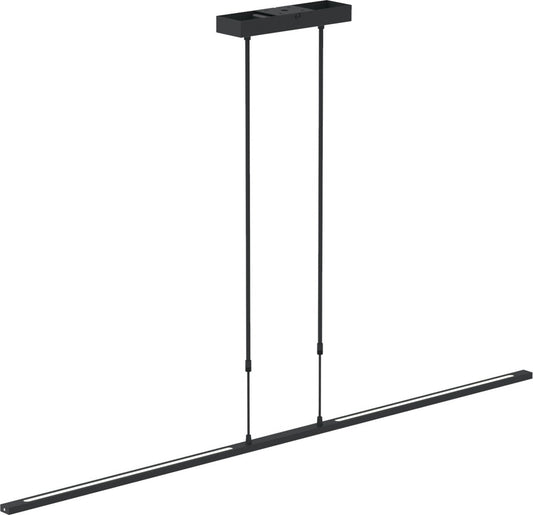 Verstelbare hanglamp Zelena – 2-lichts – Kunststof / Metaal – 155 cm – In hoogte verstelbaar tot 117 cm – Modern design – Zwart
