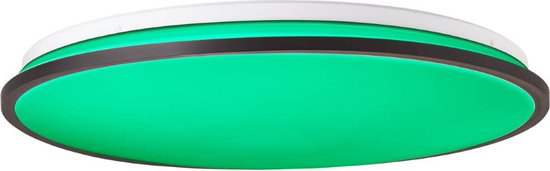 Brilliant Heida Plafondlamp – Ø 49 cm – LED Ingebouwd – Dimbaar & RGB – Zwart