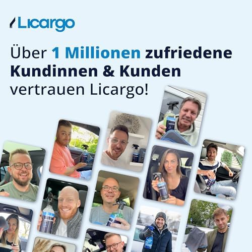 LICARGO Lackstift Glanzend Wit 12 ml - Precisiekwast voor Krasjes en Steenslag
