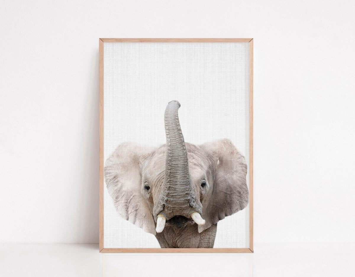 Generic | Safari Posters met Dieren voor Kinderkamer - 6 Posters - 21 x 30cm