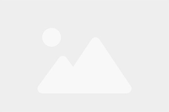 Excellent Electrics - Terrasverwarming - Muurmodel