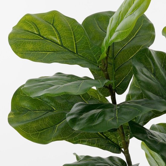 Mica Decorations Ficus Lyrata Kunstplant - Kunststof Kamerplant in Zwarte Pot - Water- en UV Bestendig voor Binnen en Buiten - Onderhoudsvrij Botanisch Decor - H150 x Ø50 cm - Groen