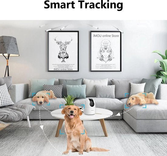 Imou Ranger 2C - Slimme 1080P beveiligingscamera met Human Detection, Nachtzicht en Draadloos Wi-Fi voor Thuisbeveiliging