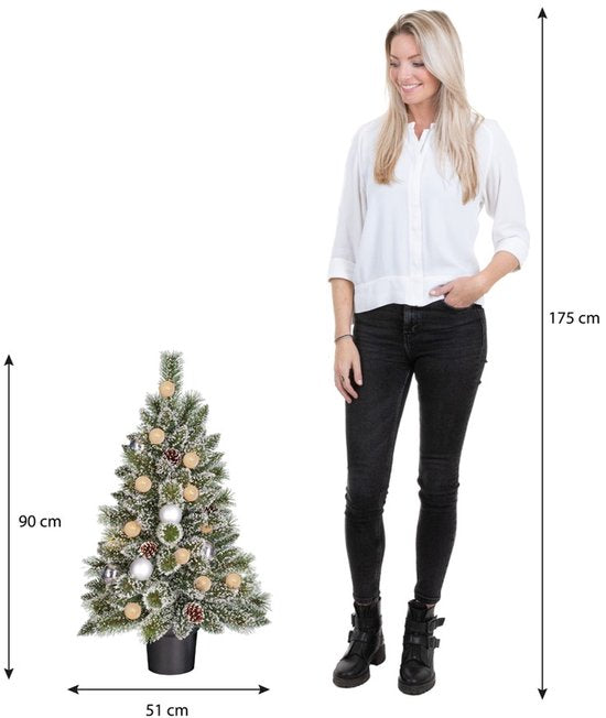 Black Box Trees Kaprun Kerstboom in Pot - Groen Frosted Zilver Warm Wit - op Batterij en met Timerfunctie - Hoogte 90cm