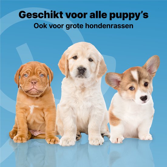 Jake and Jacky 240 Puppy Training Pads 60 x 90 cm - met Plakstrip - Zindelijkheidstraining Hond - Hondentoilet - Plasmatjes hond - Extra Groot