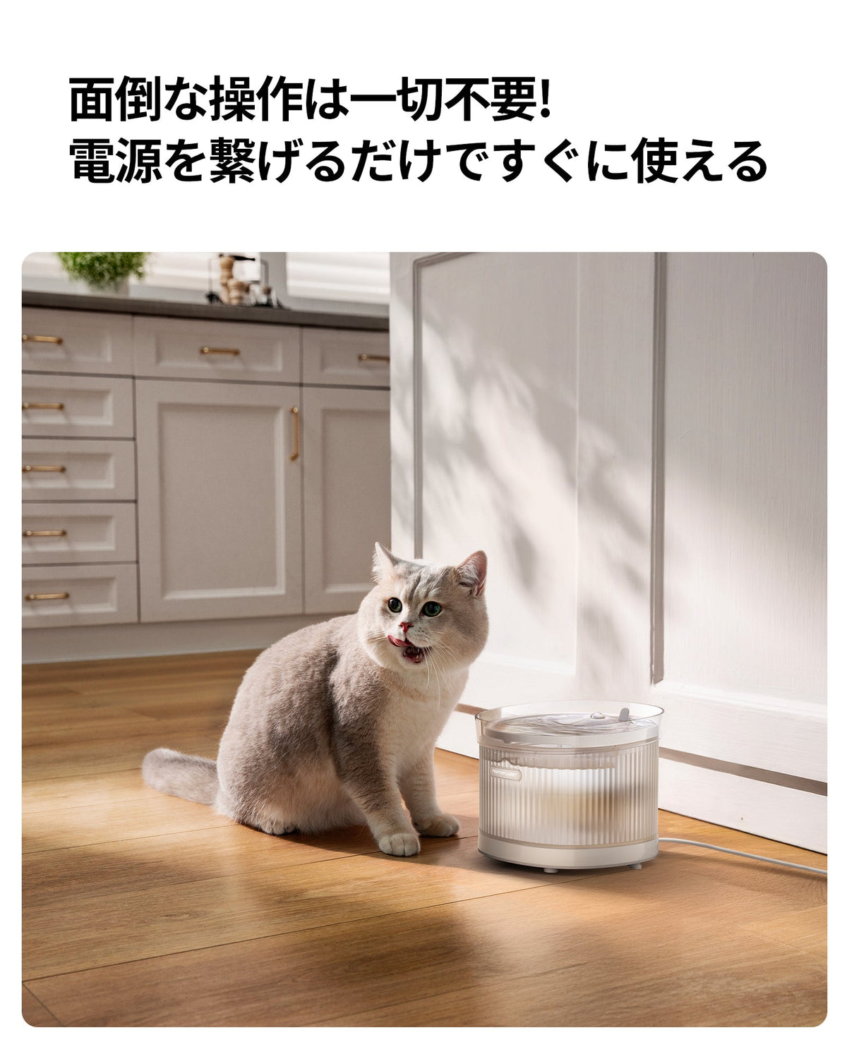 homerunPET Wireless Pump - Pet Water Fountain WF21