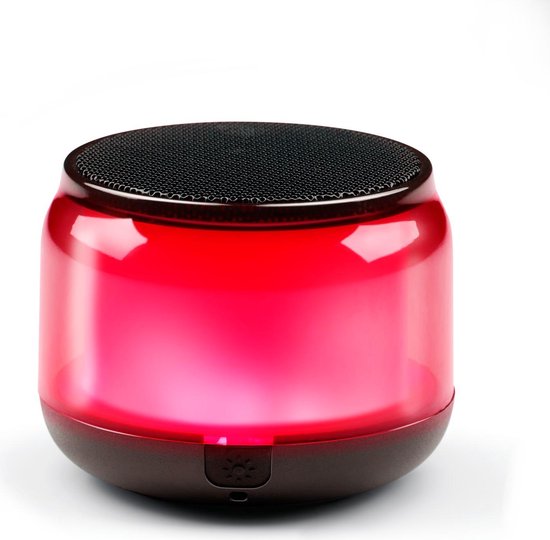 Draagbare Bluetooth Speaker - Muziek box met RGB verlichting - Partybox met 3 uur speeltijd - Draadloze speaker met USB-C