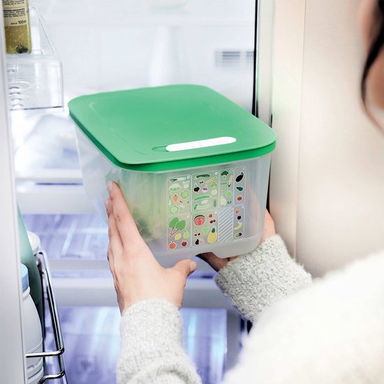 Tupperware Fridge Smart 4,4l - Vershoudbakjes - BPA-vrij - Voorraadpot - Lunchbox - Plastic Bakjes - Voedselcontainer - Voedsel blijft 2 keer langer vers
