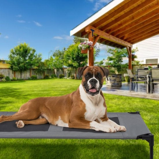 maxxpro Hondenbed op Pootjes - Goede Ventilatie - Incl. Draagtas - Max. 55 KG - Large
