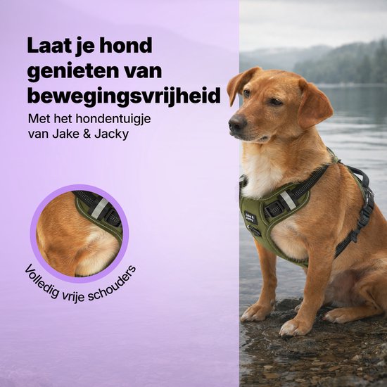 Jake en Jacky Hondentuigje - Anti-Trek Tuig - Hondenharnas - Y Tuig Hond - Reflecterend - Groen- Maat S