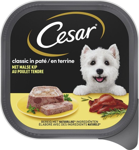 Cesar Maaltijdzakjes Multipack Adult In Gelei - Hondenvoer - 12 stuks