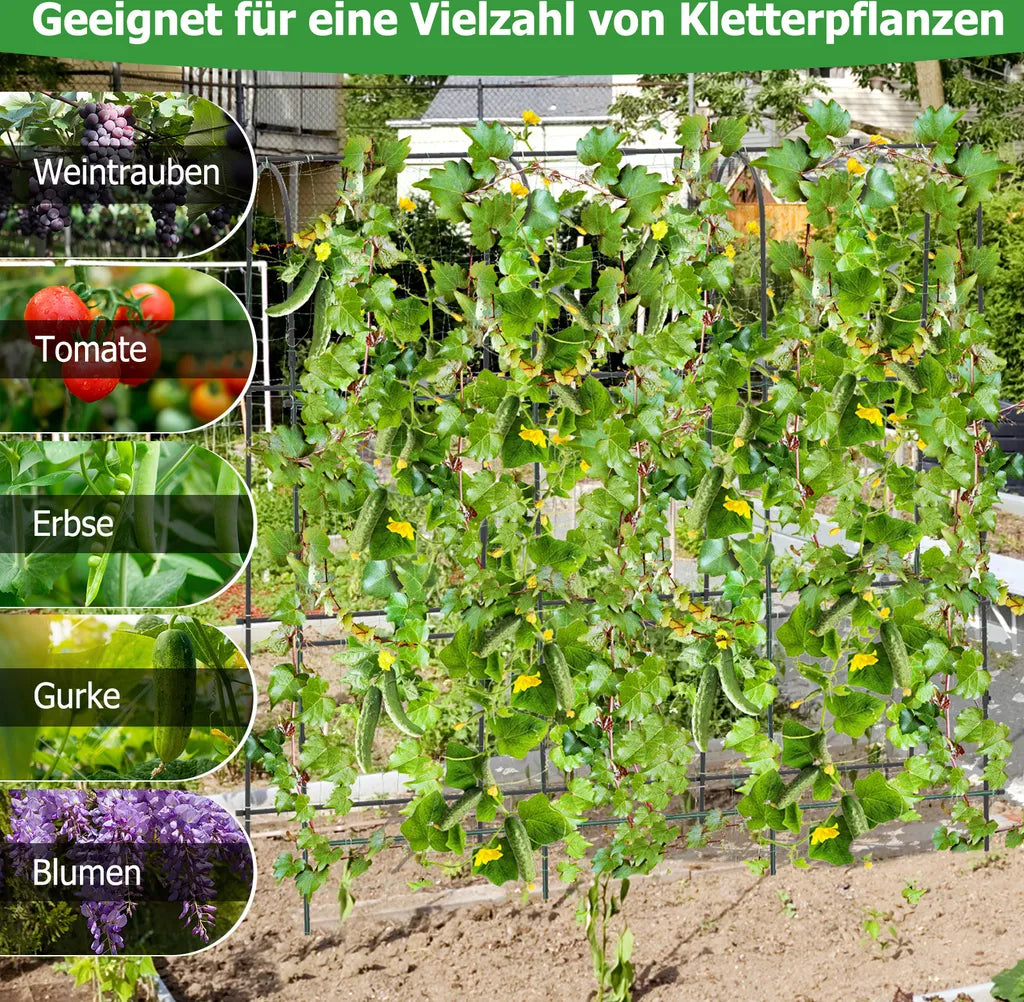 Coast Komkommerrek Zwart – Verstelbaar Plantenrek met Net – 179 x 32-65 x 180 cm
