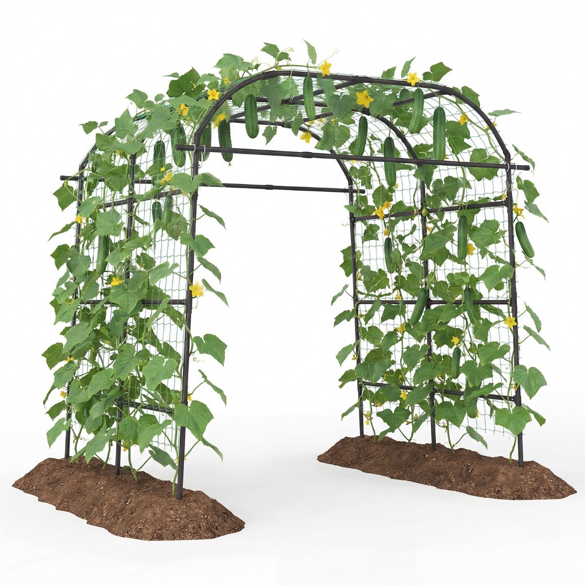 Coast Klimplantenboog - U-vormig tuinrek - Metalen constructie - Zwart - 205,5 x 181 x 230 cm