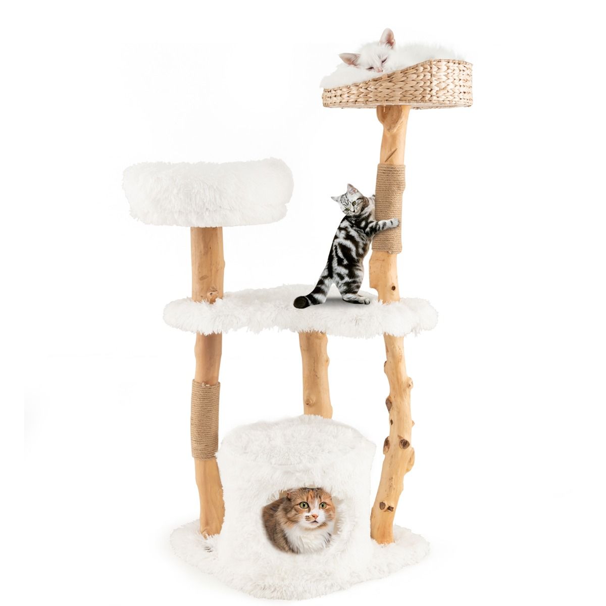 Coast Krabpaal voor Katten - Massief hout en jute - 5 verdiepingen - Naturel en wit - 124 cm