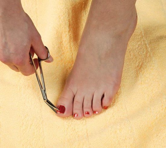 Westfalia Nagelschaar + nagelknipper