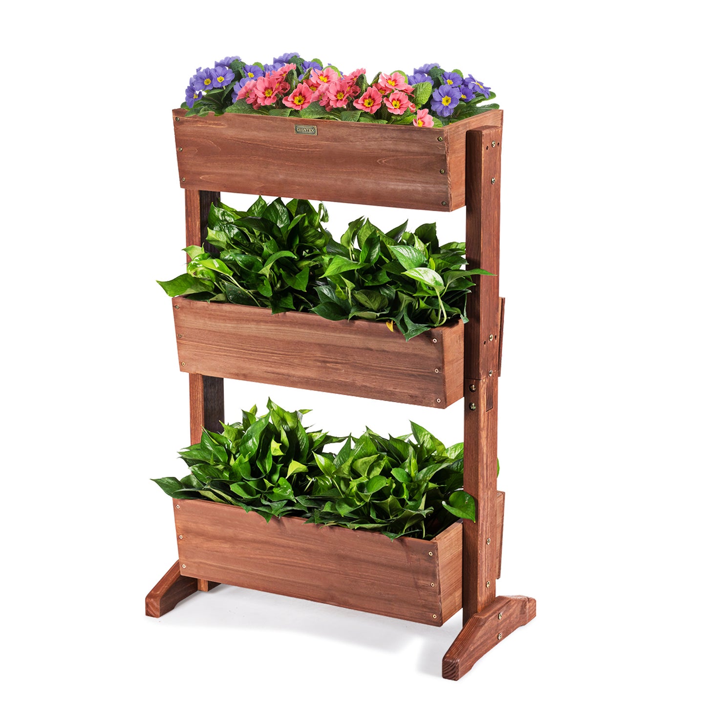 Coast Houten Bloemenrek Bloementrap 3 Planken - 71 x 38 x 105 cm - Bruin