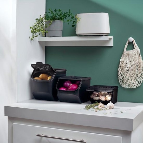 Mediashop 37196 Voorraaddoos Overige Container 2,3 l Zwart 1 stuk(s)