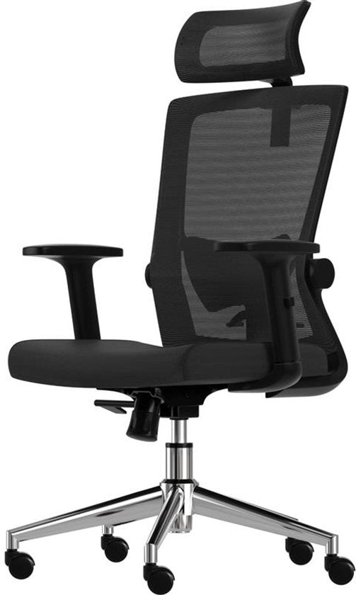 LifeGoods Ergonomische Bureaustoel - Office Chair - NEN- en SGS-gecertificeerd - Volwassenen - Hoofdsteun - Zwart/Chroom