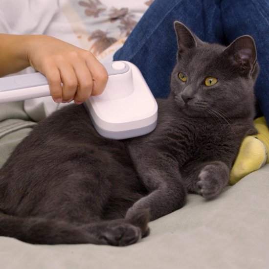 PiddiPet IonBrush Ionische Dierenhaarborstel – Zelfreinigend & Batterij-Powered – Vachtverzorging voor Honden & Katten – Minder Statische Lading, Glanzende Vacht – 2-pack