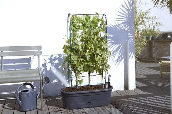 Elho Green Basics Veggie Wall 80 - Kweekbak - Verticaal Tuinieren - 100% Gerecycled Plastic - Ø 77.5 x H 26.0 cm - Living black
