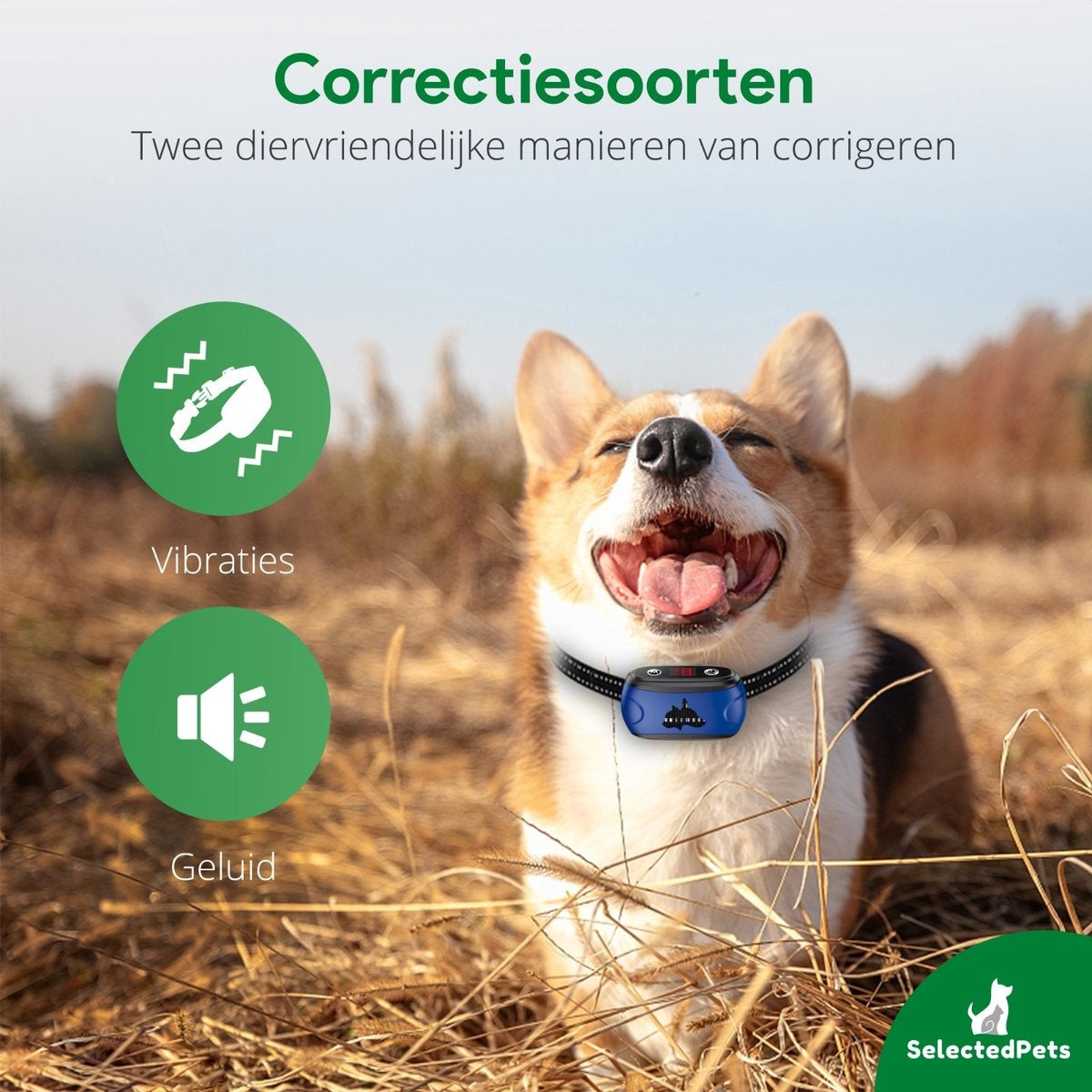 Anti blafband - Blafband voor honden - Blafband grote en kleine hond - Automatische blafdetectie verstelbaar op jouw hond