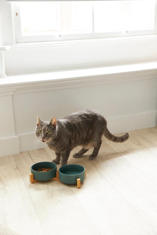 Voerbak Kat en Hond Keramiek - Voerbakken Dubbel met Standaard - Drinkbak - 2x 400 mL - Groen Mat