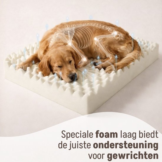 By Cee Cee Orthopedische Hondenmand – Hondenbed – Ribstof - Voor Middelgrote Honden - Bruin - 108x81cm - Moos