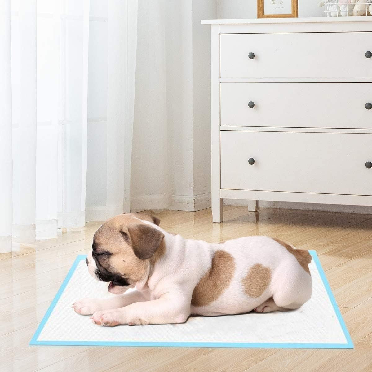 Coast Wegwerp Trainingsmatjes voor Honden - 100 stuks - Lekvrij - 5 Laags - 60 x 90 cm