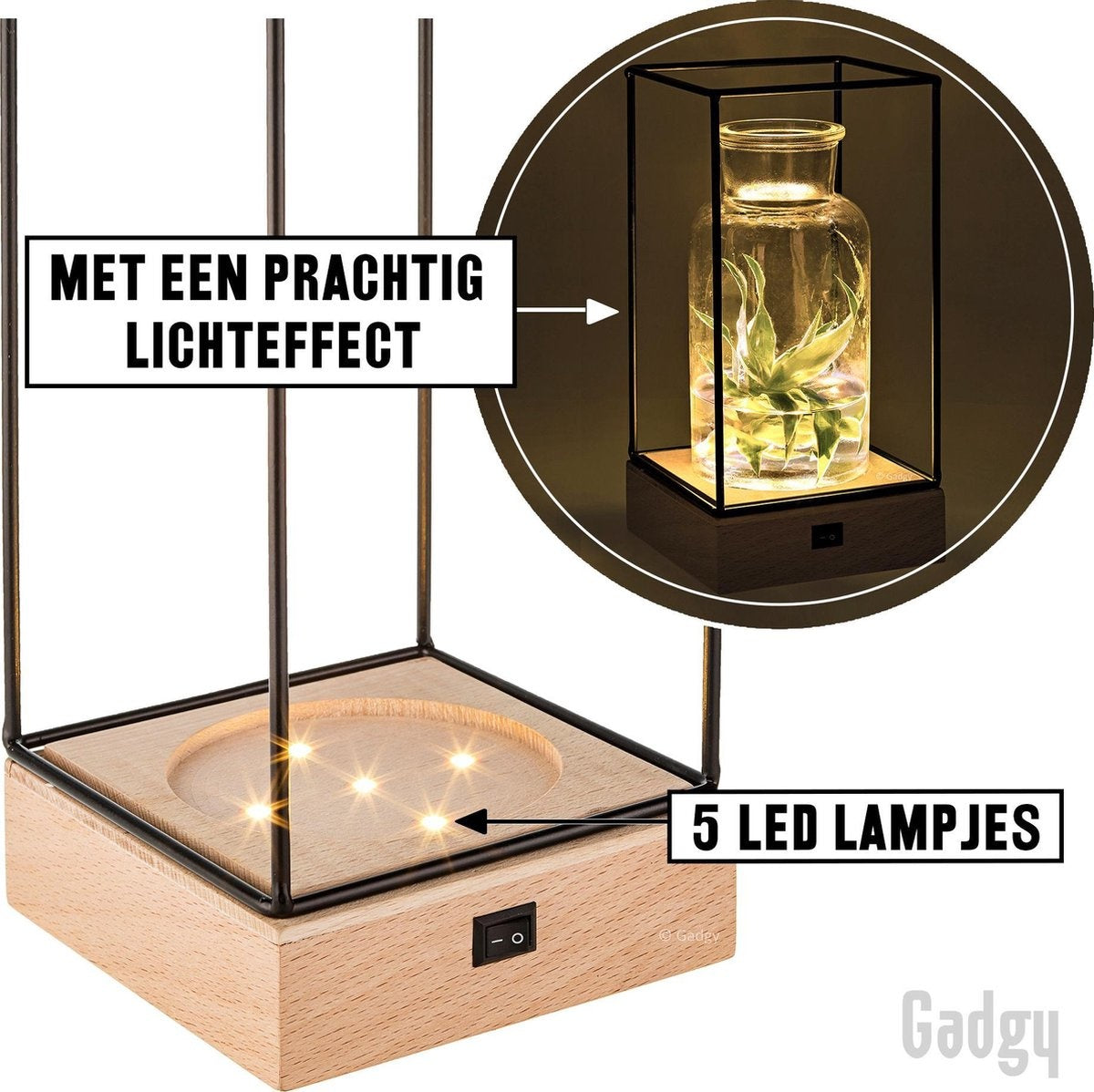 Gadgy Vaas met LED Verlichting - Vaaslamp - Glazen Vaas met Lamp - Moederdag Cadeautje - Hydroponie - Werkt op Batterijen – Tafellamp  - Ø11 cm