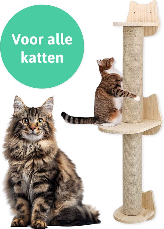 Katten klimmuur - Krabpaal - 2 Plateaus - Katten klim wand - Muur - Klimmuur kat - Voor grote katten - Klimwand - complete set