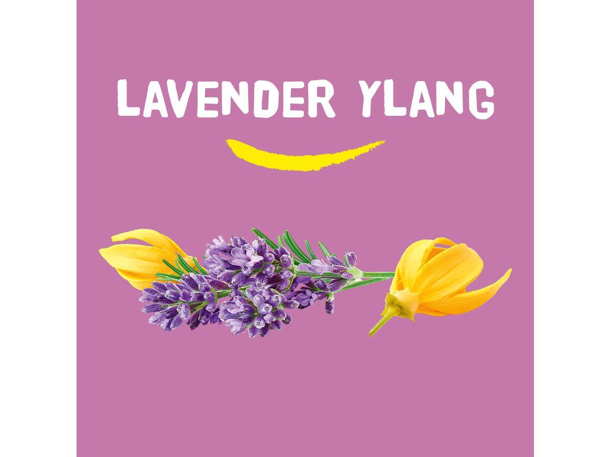 Happy Earth Shower Bar Natuurlijk - Lavender & Ylang Ylang - Voordeelset 6 x 90 gram
