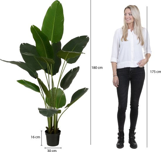 Mica Decorations Bananenboom in Pot - Kunstplant - Groen - 30x30x180 cm