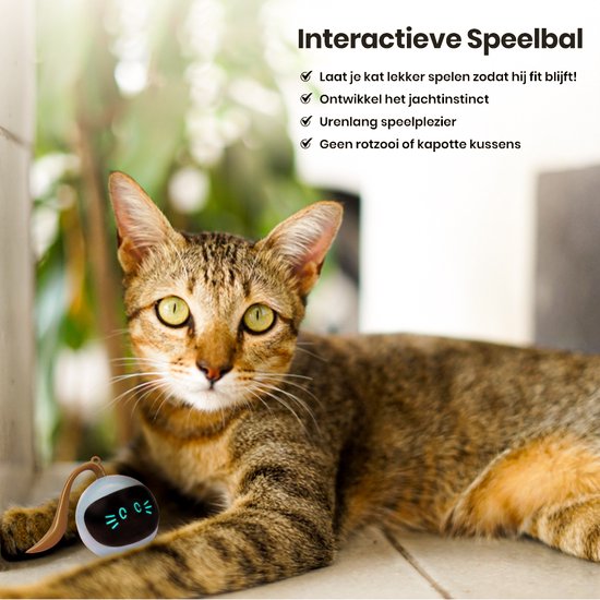 Otiume Interactieve Kattenbal – Zelfrollend – USB Oplaadbaar – Speeltje