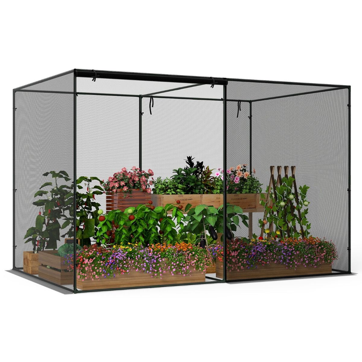 Coast Plantentent - Metalen frame - Insectengaas - Met draagtas - 310 x 200 x 200 cm - Zwart