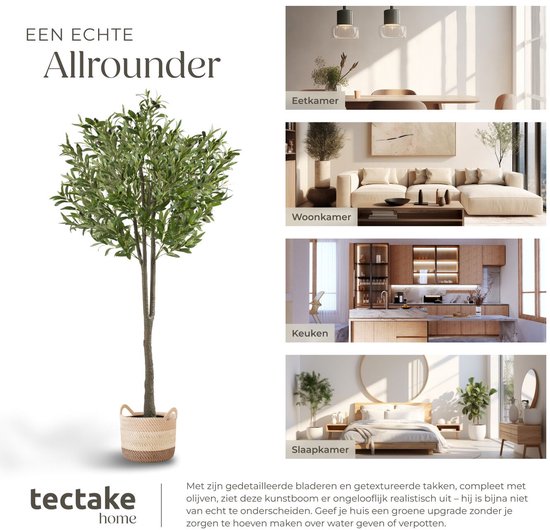 tectake® Kunstmatige Olijfboom Oleand – Mediterrane Kunstplant met Realistische Bladeren en Olijven – Onderhoudsvriendelijk en Veelzijdig – Inclusief Stevige Bloempot – Hoogte: 150 cm