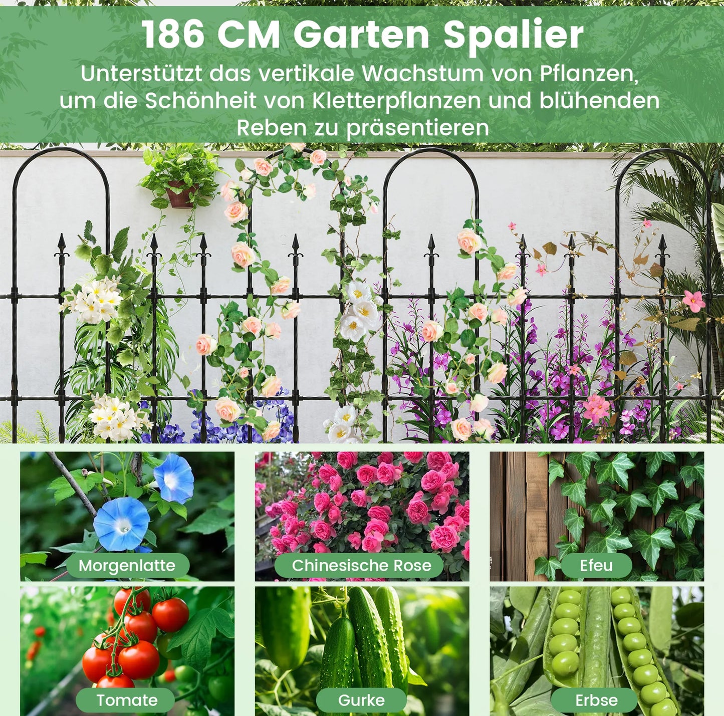 Coast Plantenrek voor Klimplanten en Rozen - 146 x 186 cm - Zwart Metalen Tuinrek voor Bloemen, Groenten en Klimplanten